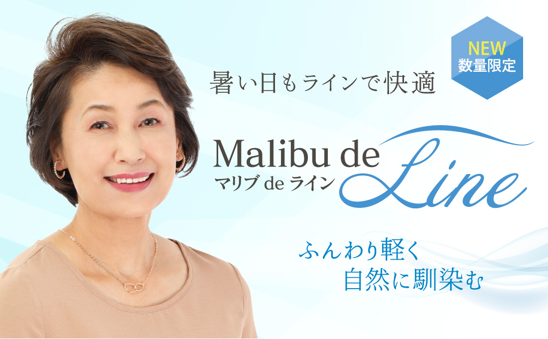 新品未使用‼️マリブウィッグ 上乗せタイプ 簡単上乗せ ダークブラウン ウィッグ(かつら)の専門店マリブウィッグ【公式】